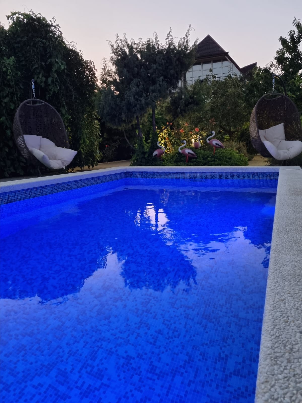 Фото Вилла Роз