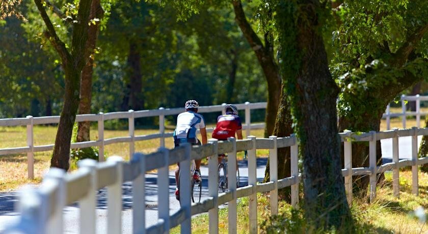 Фото Hotel Maestoso