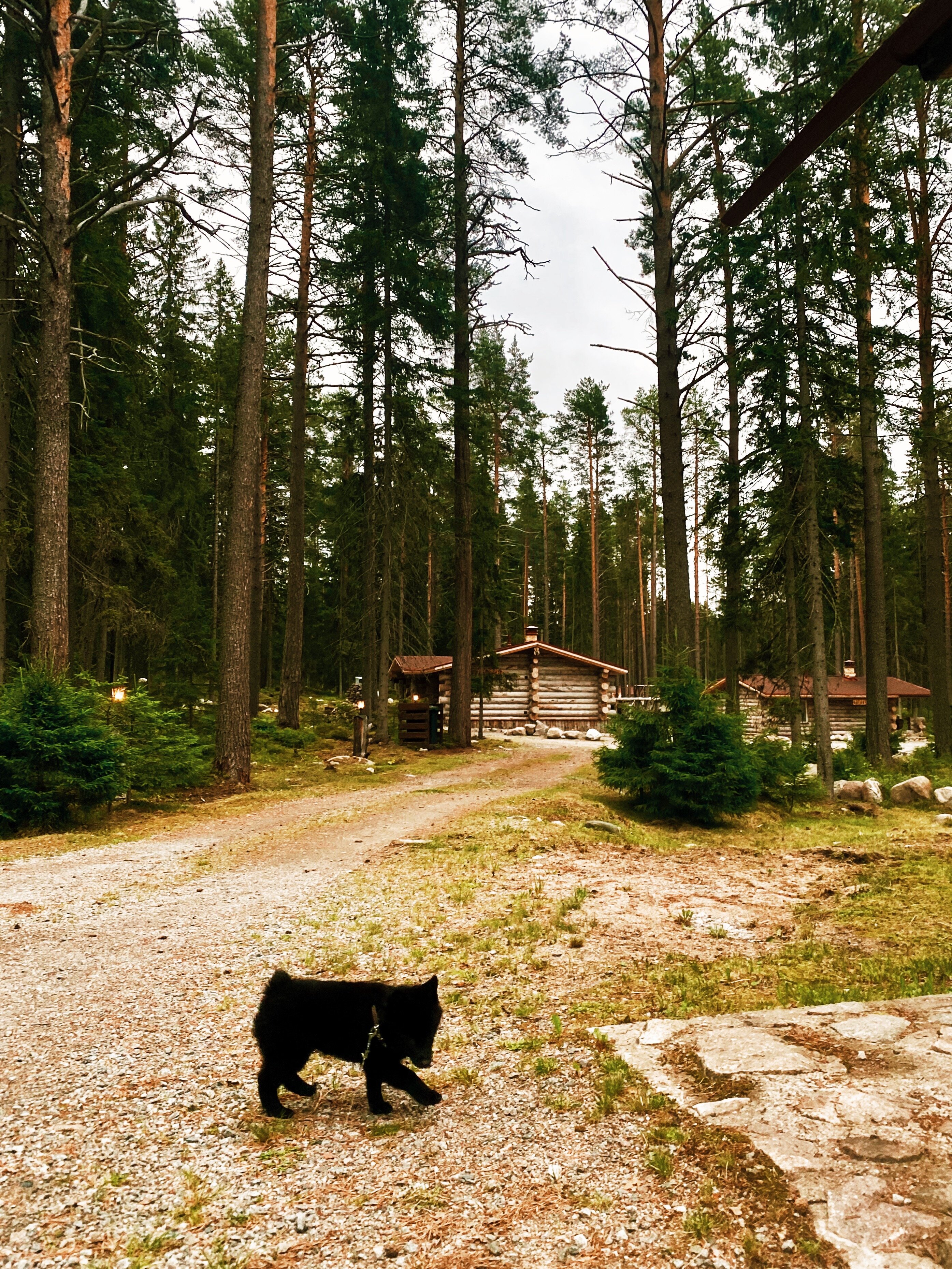 Фото Малая Медвежка