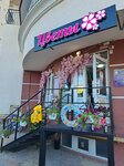 Flowers (проспект Генерала Острякова, 244, корп. 4) ، محل زهور