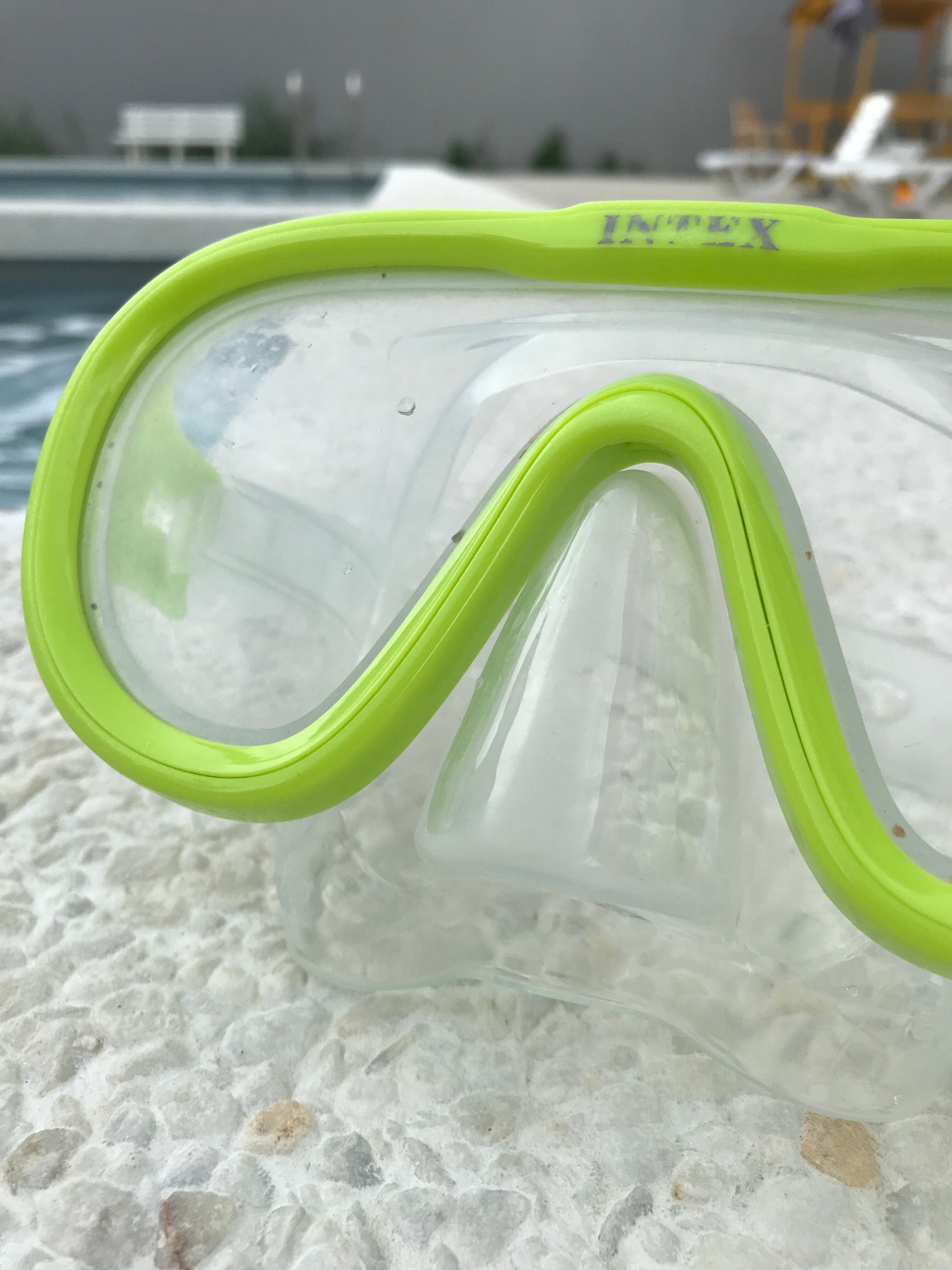 Фото Конкур