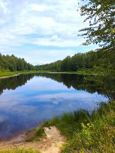 Tsentralno-Lesnoy gosudarstvenny prirodny biosferny zapovednik (Tver Region, Nelidovskiy munitsipalny okrug, poselok Zapovedny) ، الغابات