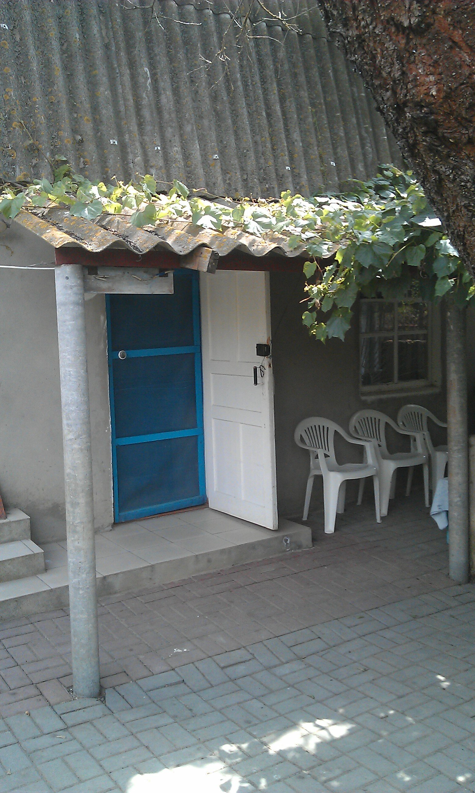 Фото Белая Чайка