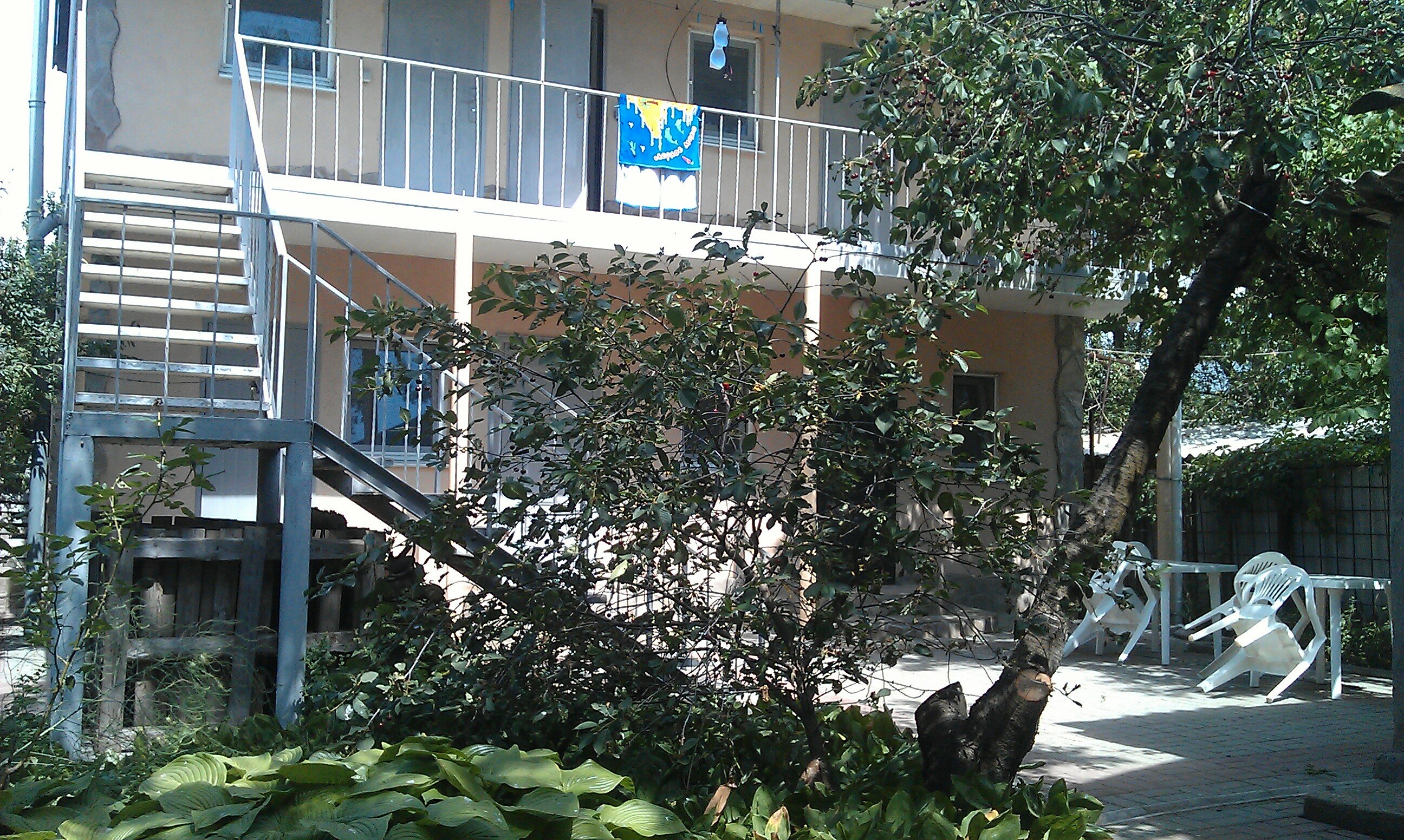 Фото Белая Чайка