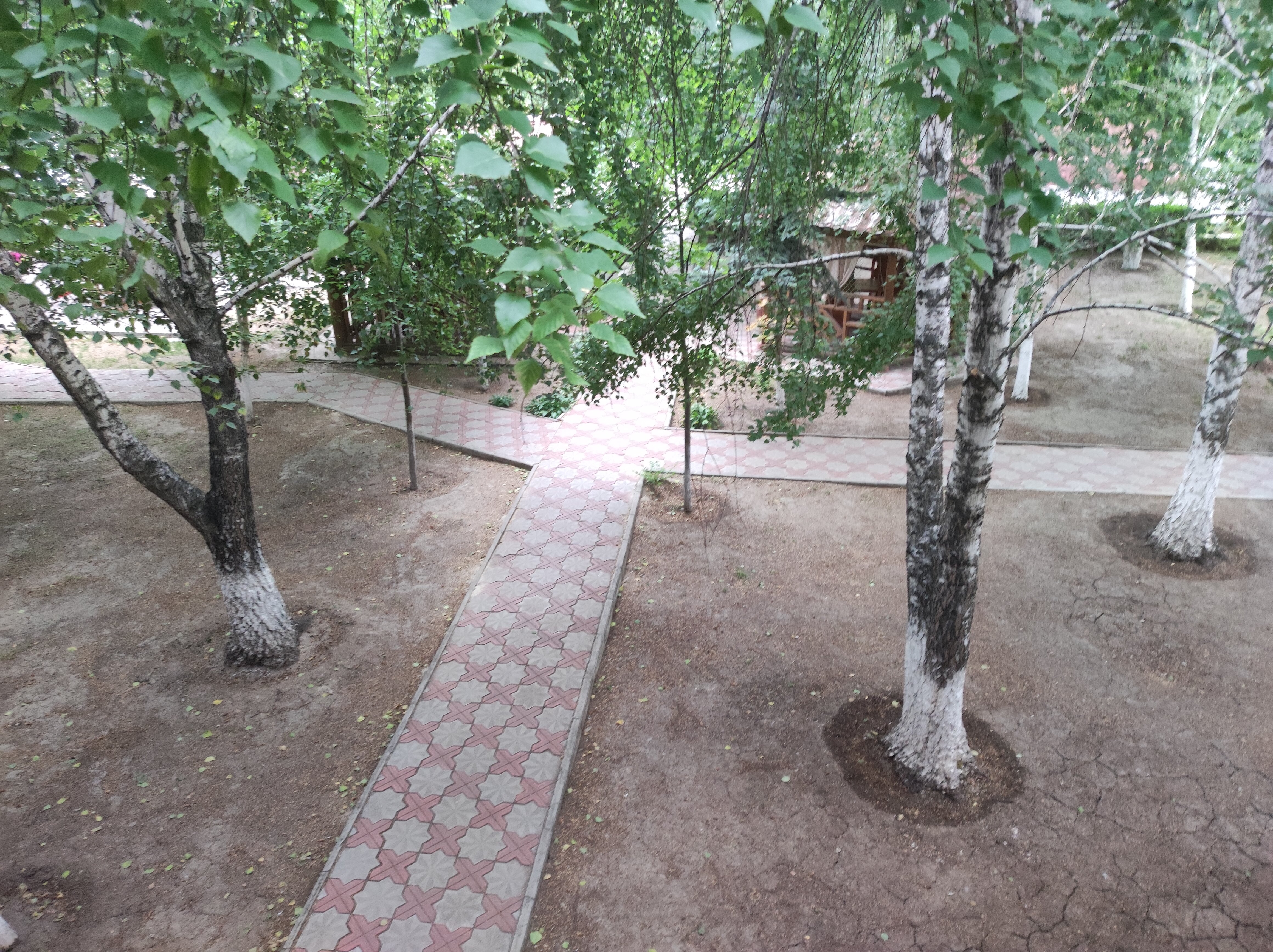 Фото Надежда