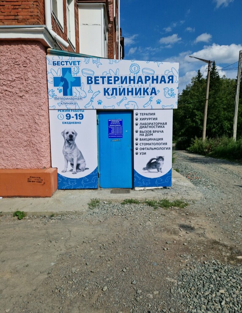 Ветеринарная клиника горбенко ул энгельса 54 фото
