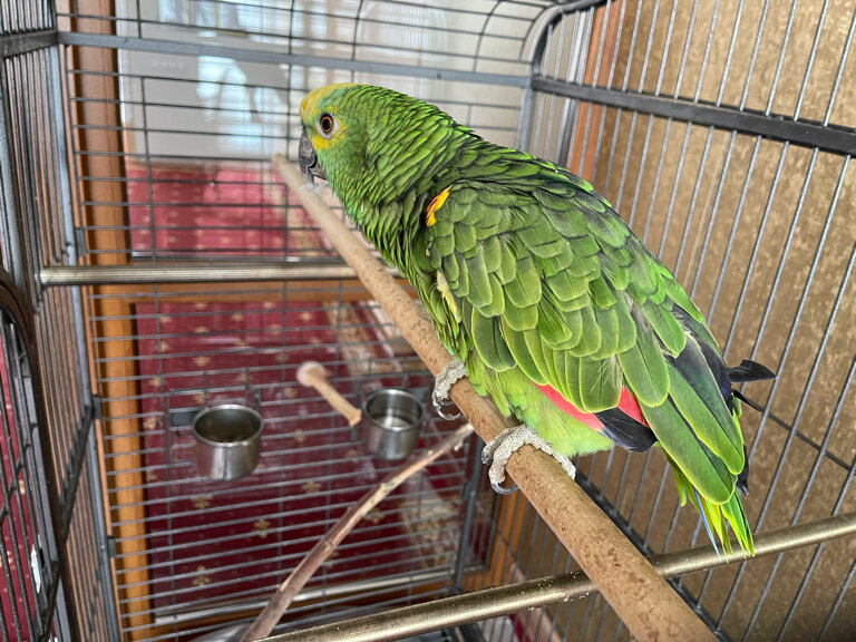 Фото Гармония