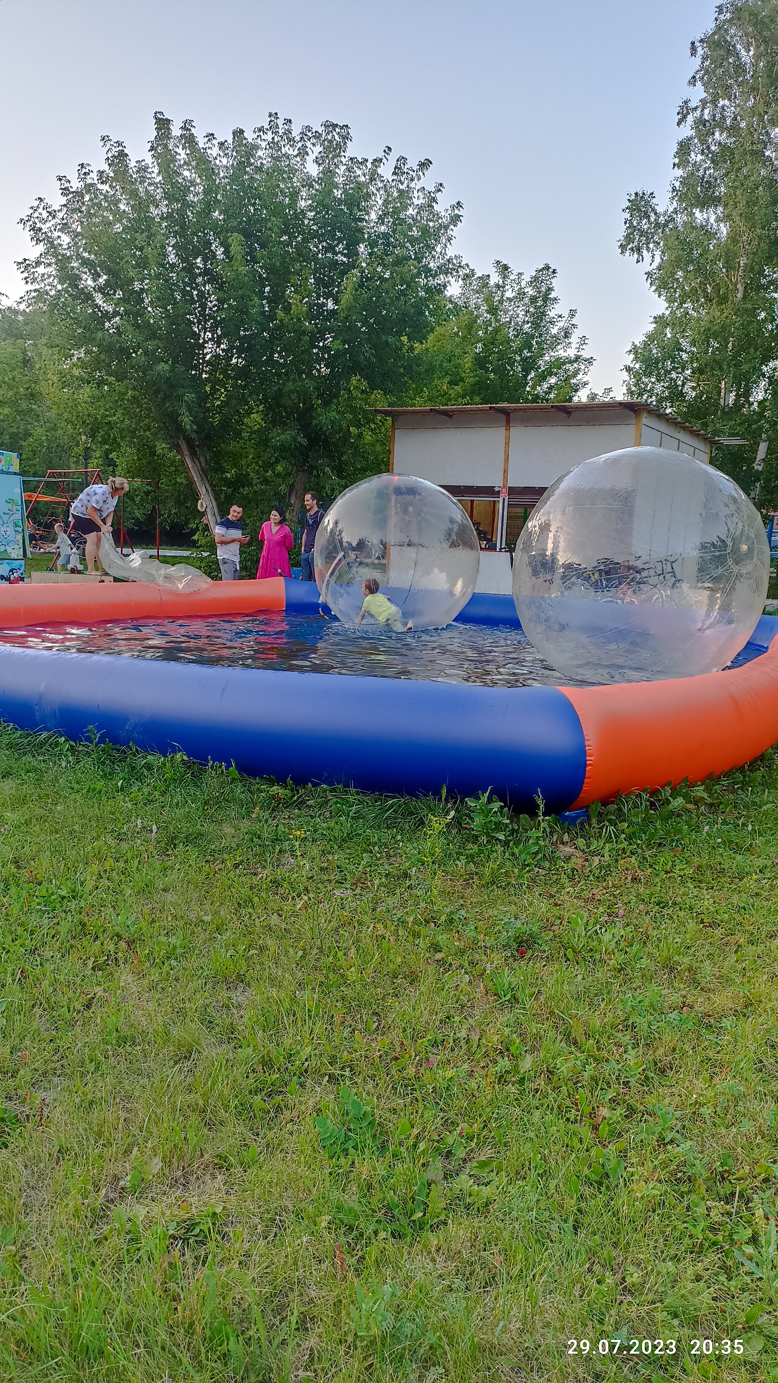 Фото Берёзки