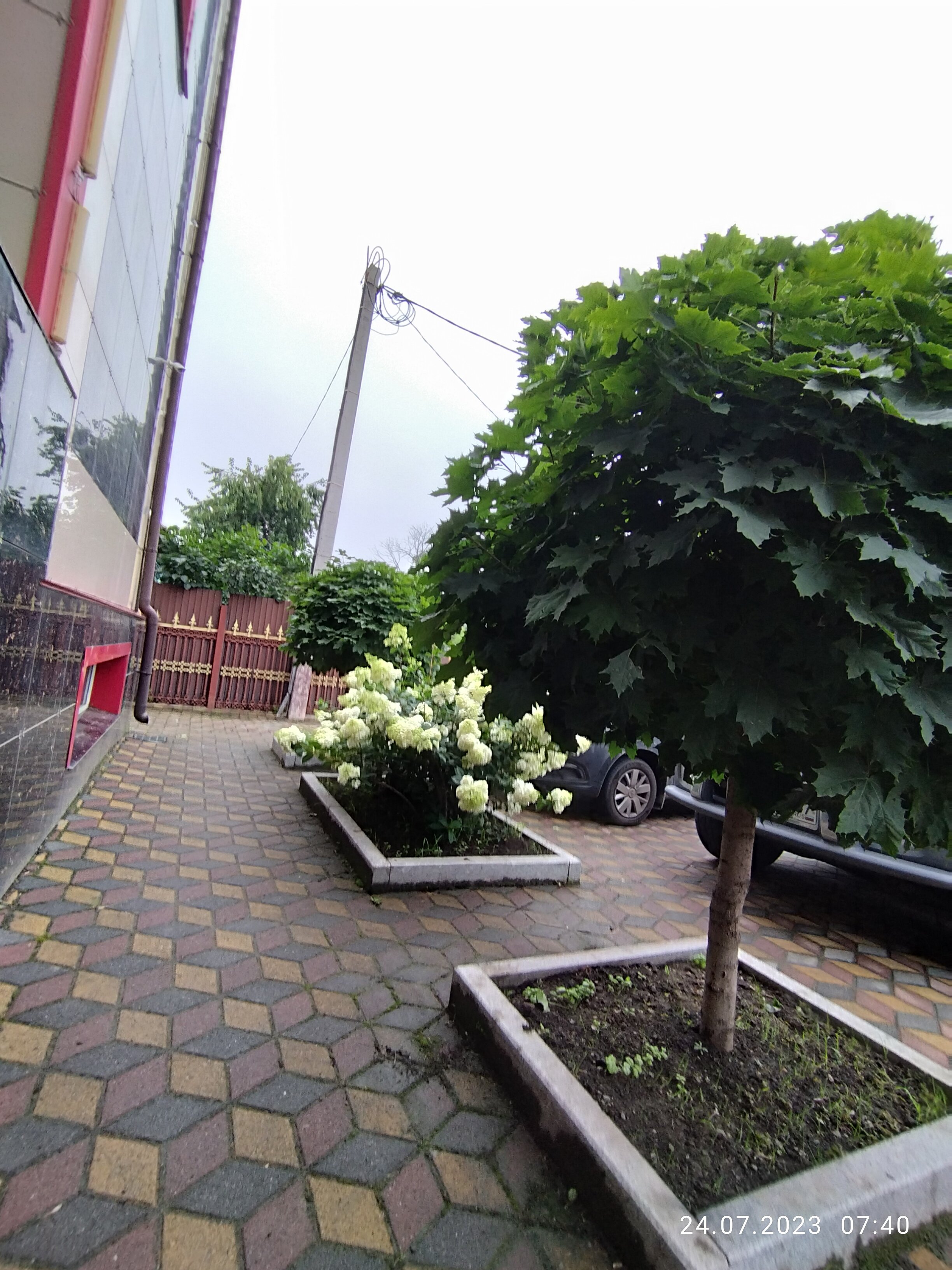 Фото Классик