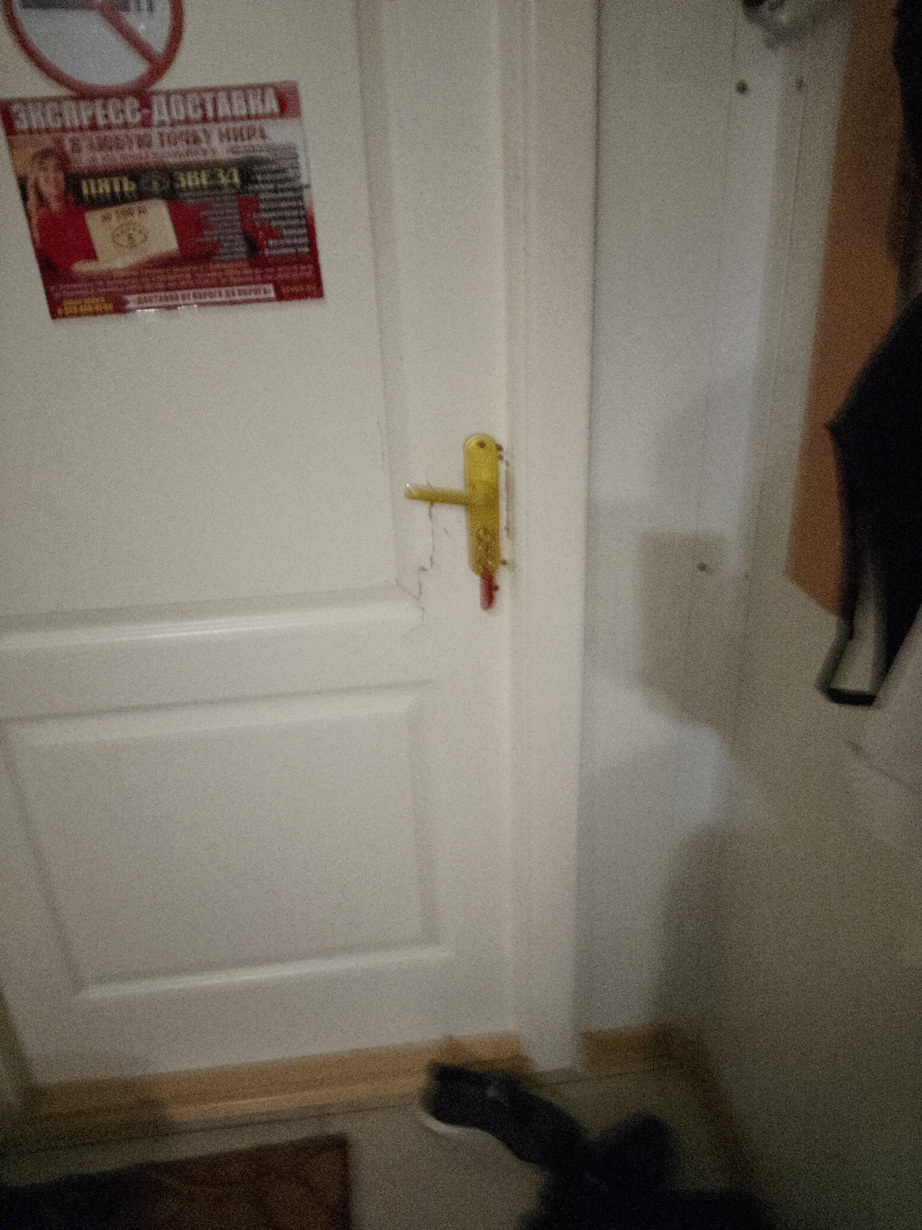 Фото Звездная