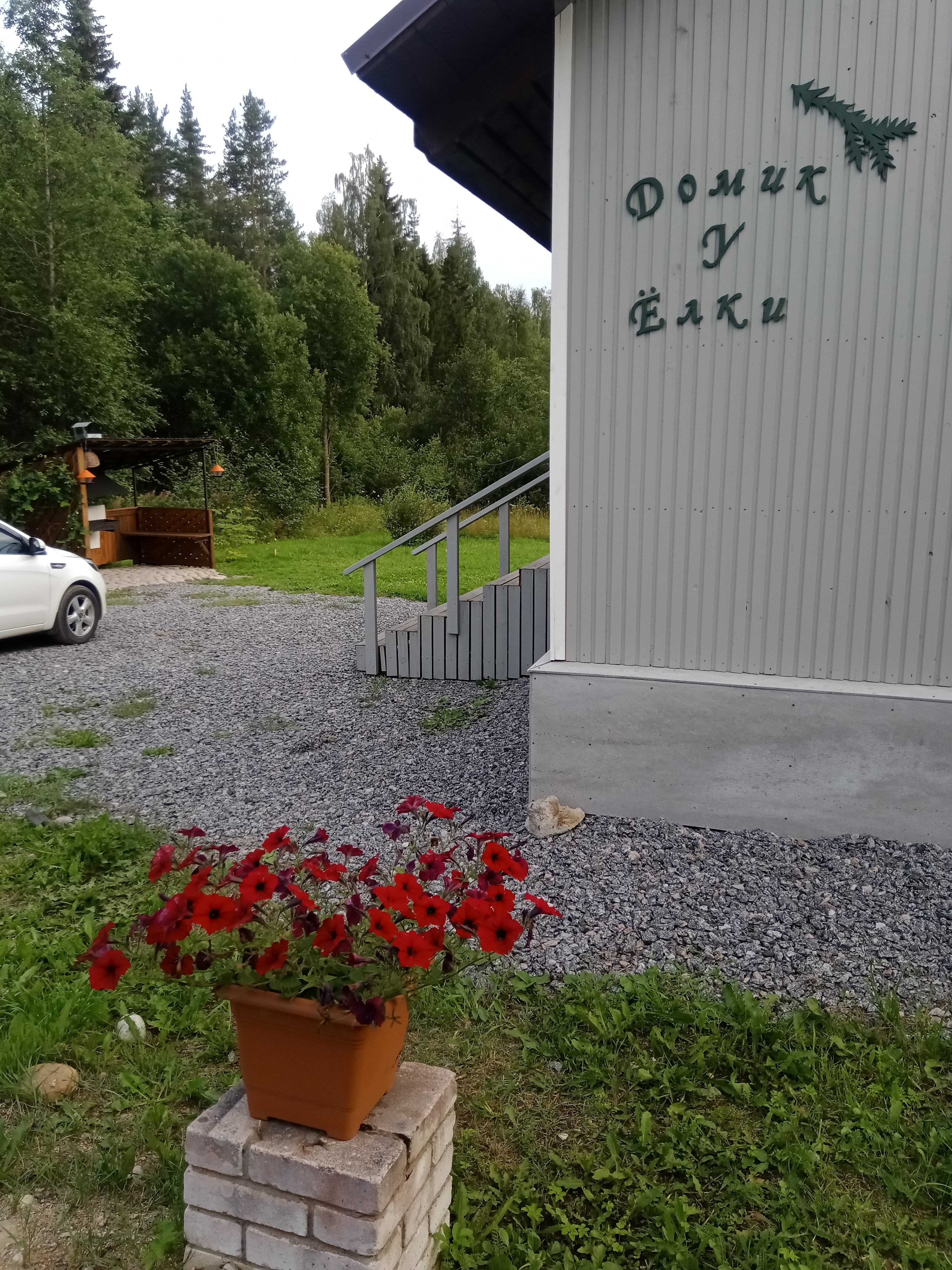 Фото Домик у ёлки