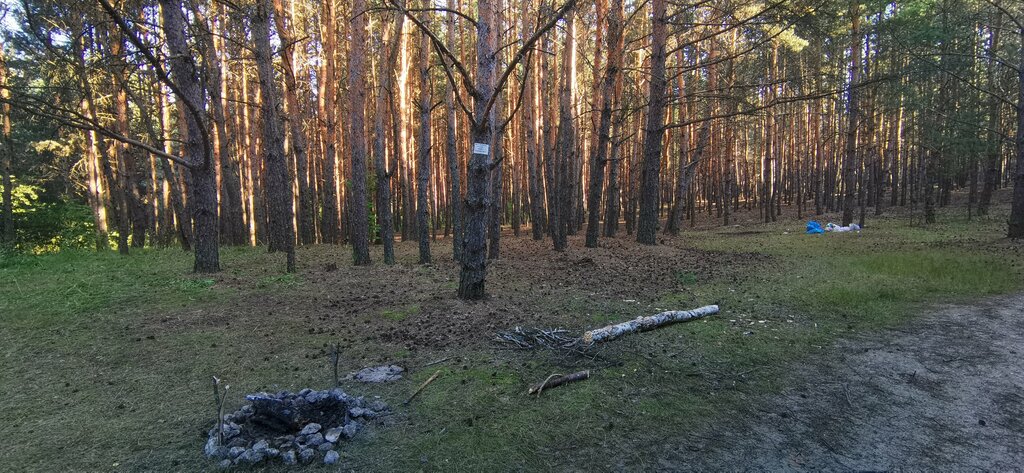 Пляж Пляж у Ахмеда, Тульская область, фото