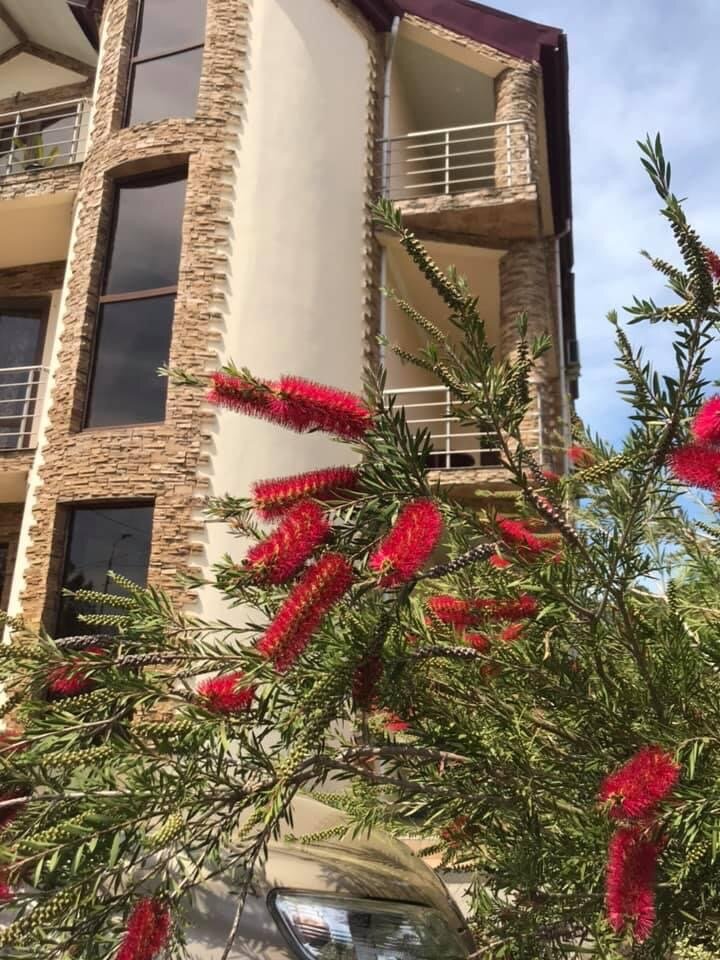 Фото Гостевой Дом Кобулети