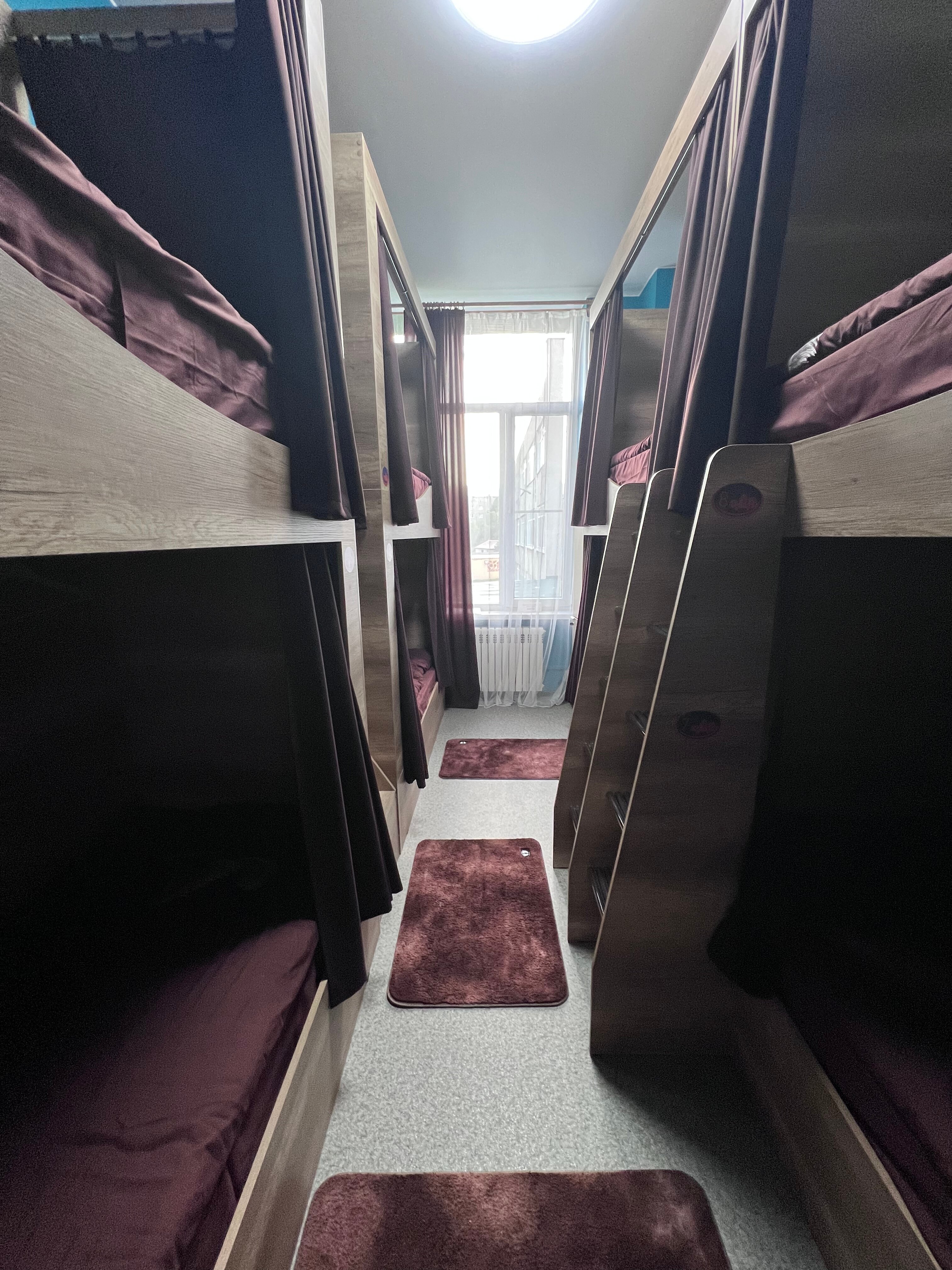 Фото Евражки