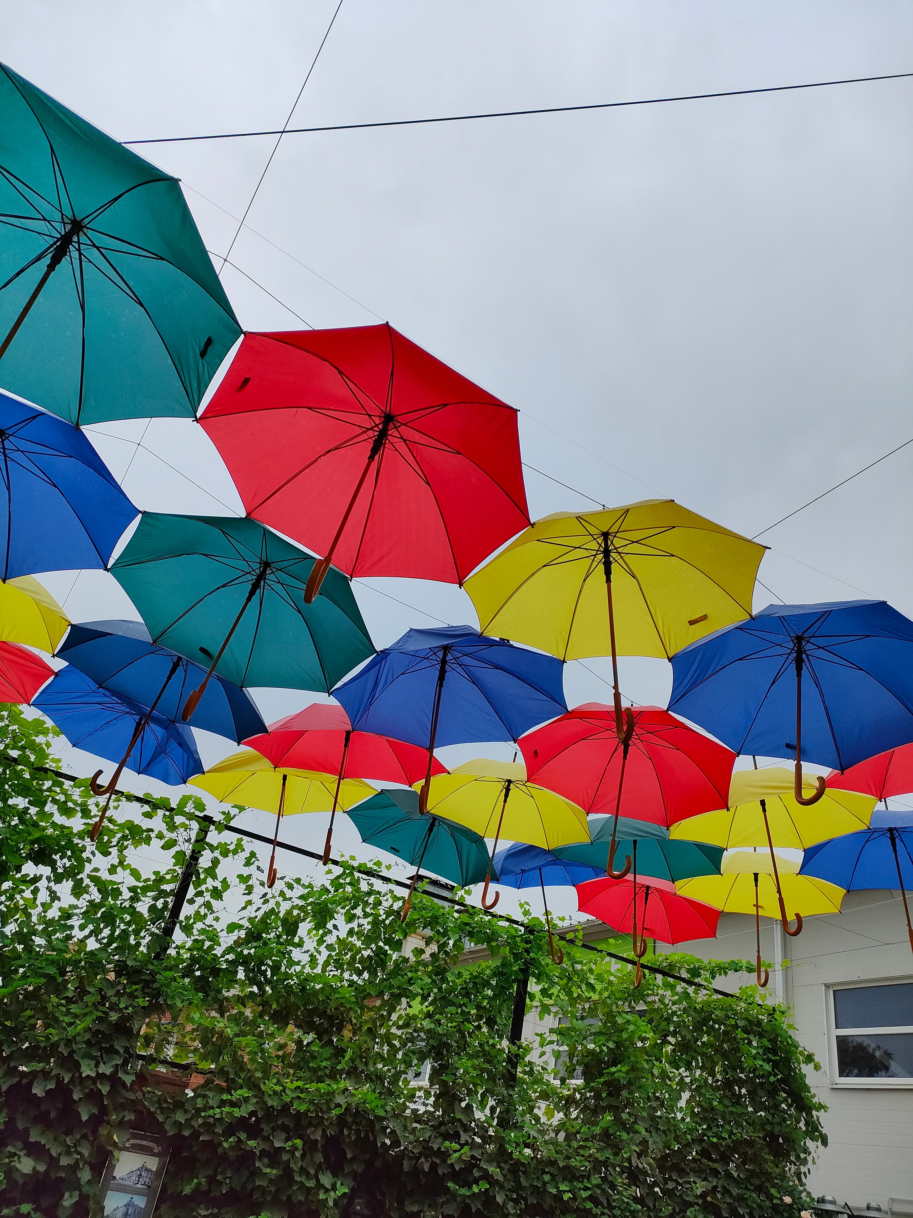 Фото Славянская