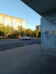 13-я городская больница (Velozavodskaya Street, 1/1), public transport stop