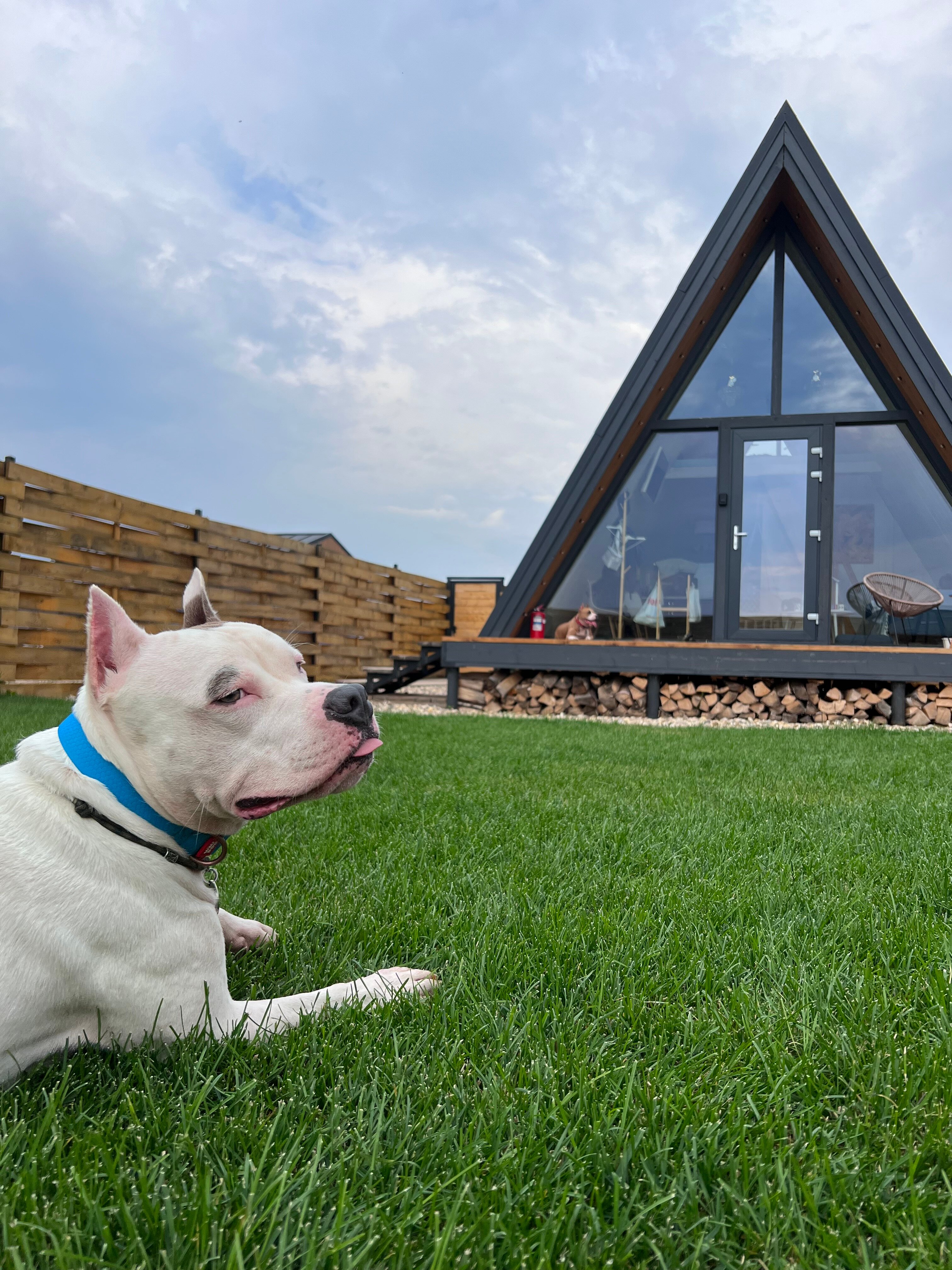 Фото Простор