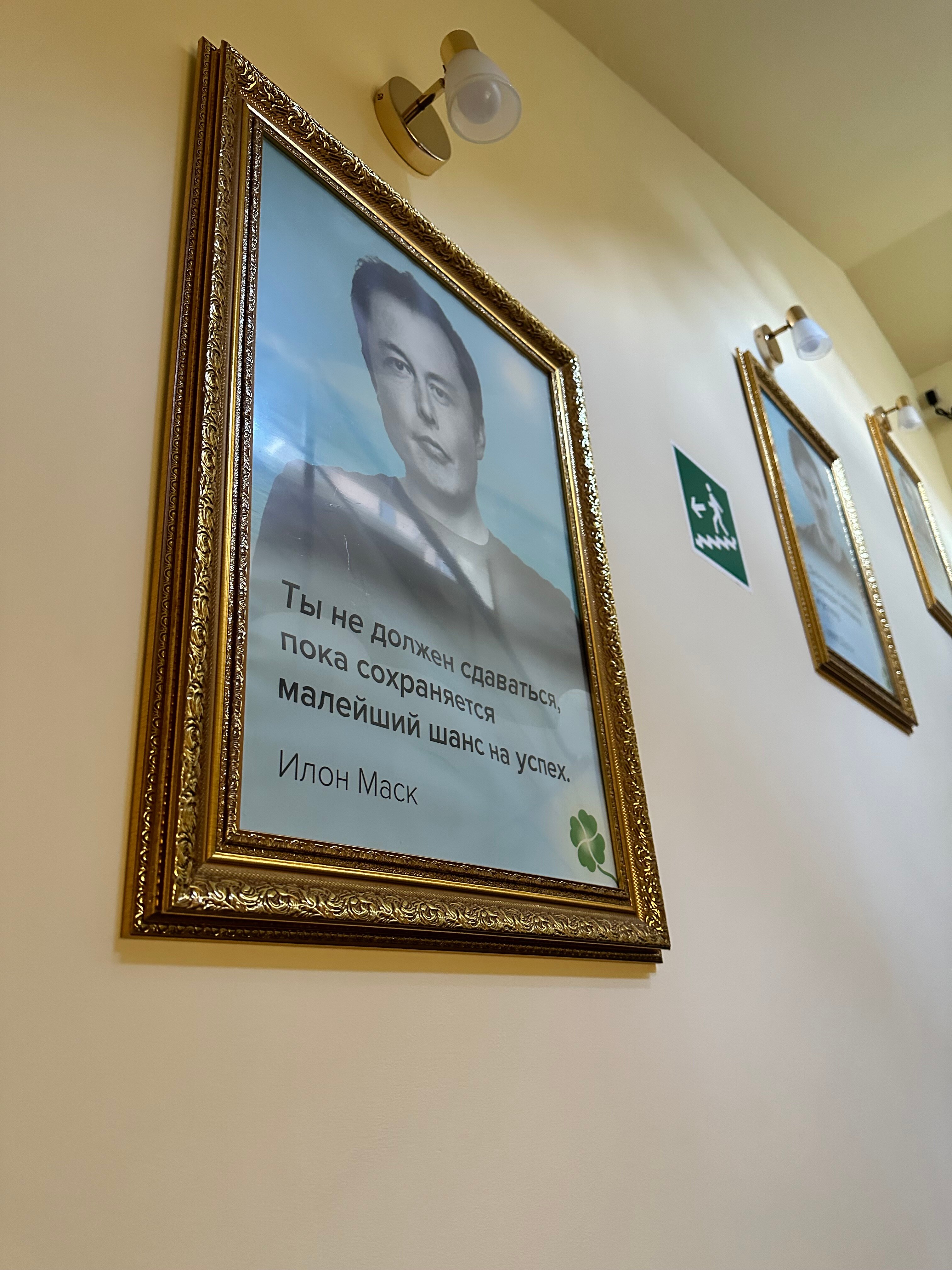 Фото Золотой Клевер