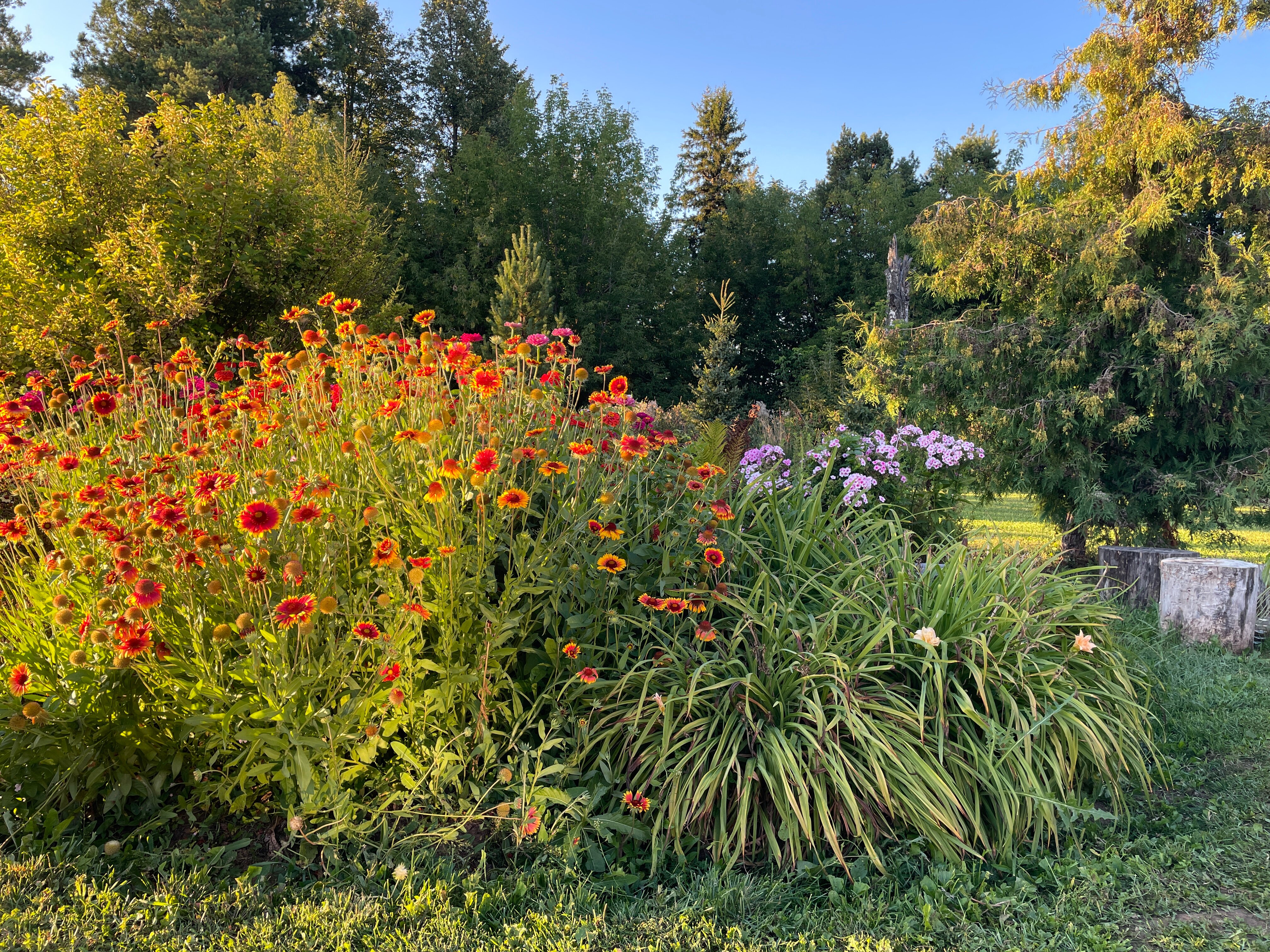 Фото Студия 23