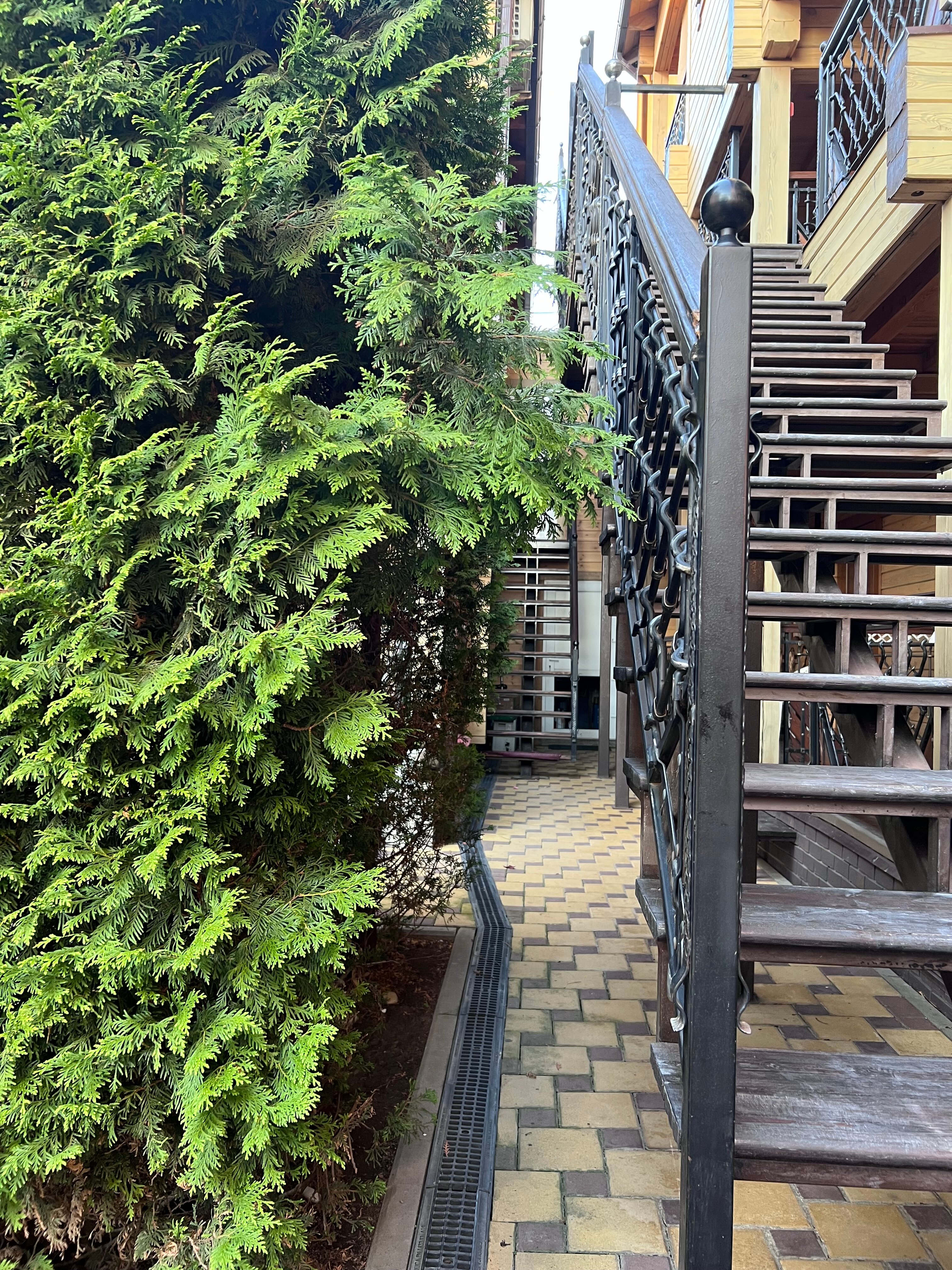 Фото Сириус