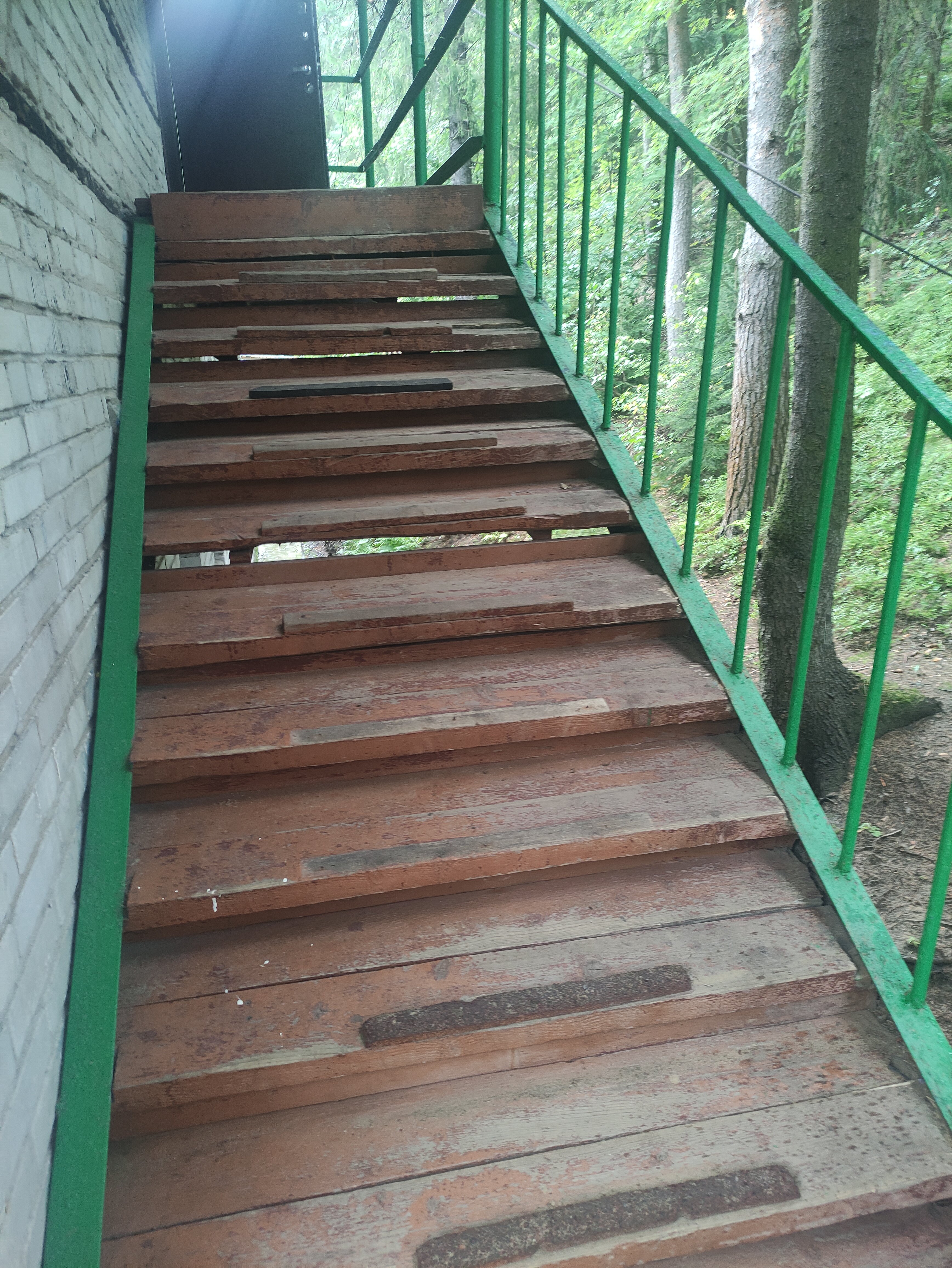 Фото Динамо