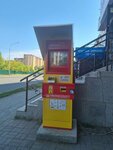Qiwi (Shákárim Qudaıberdiuly dańǵyly, 38), payment terminal
