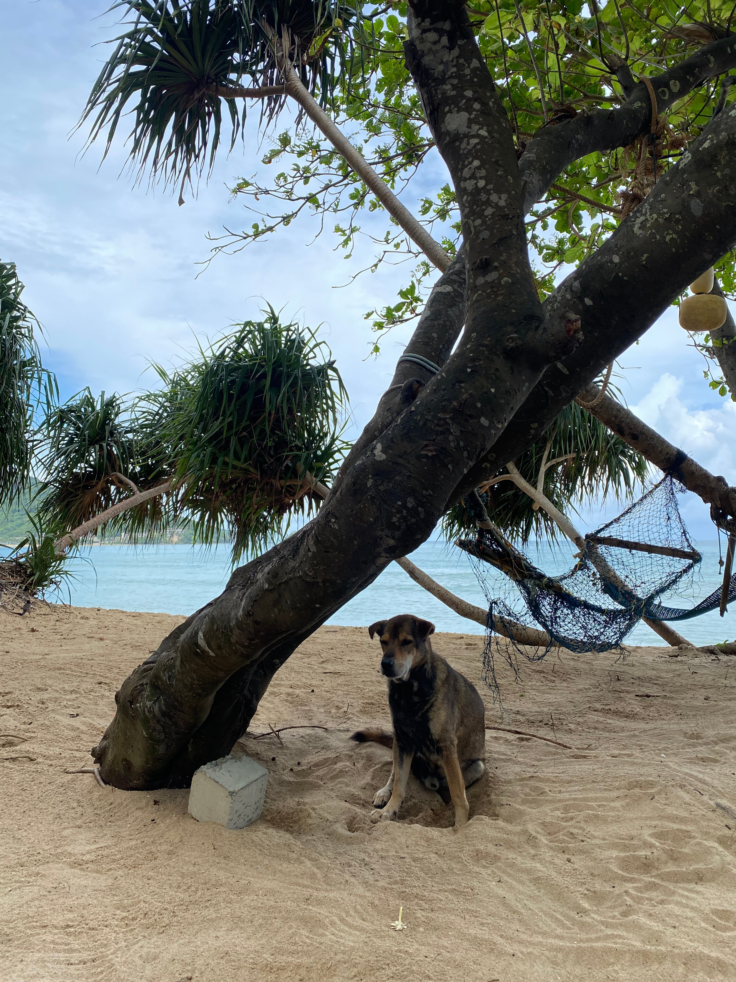 Фото Naiyang Park Resort