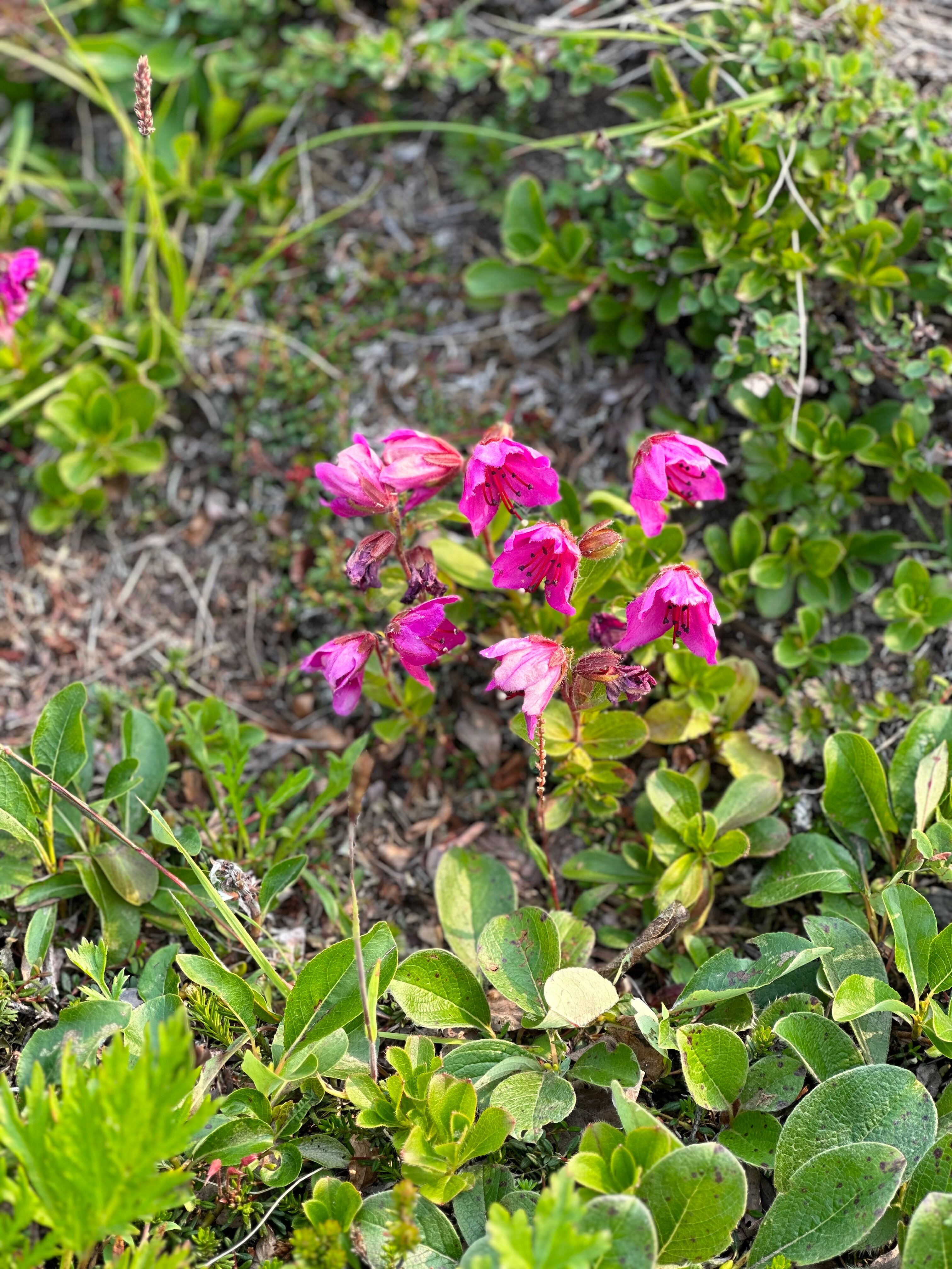 Фото Вилючик Кэмп