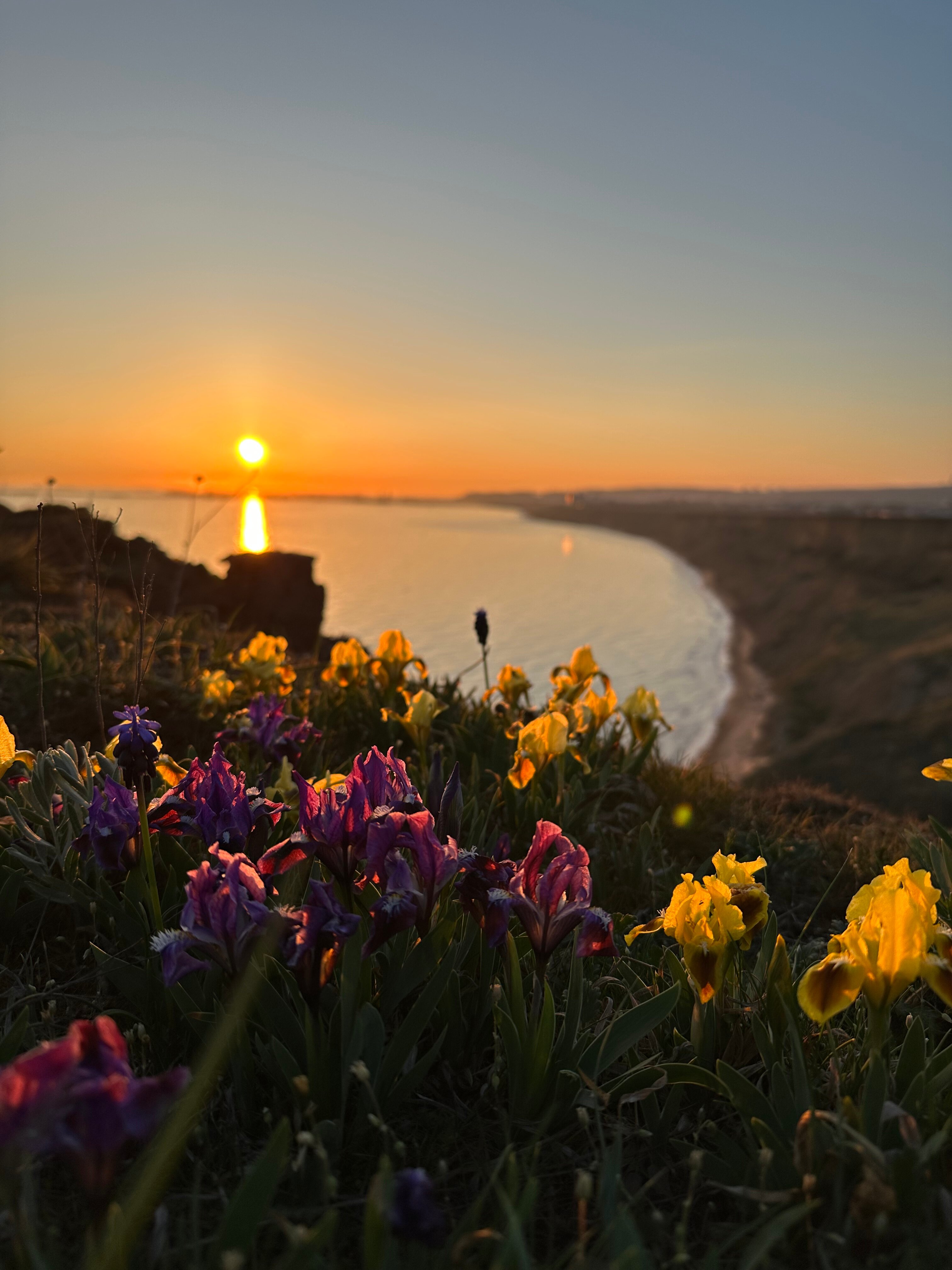 Фото На Волне