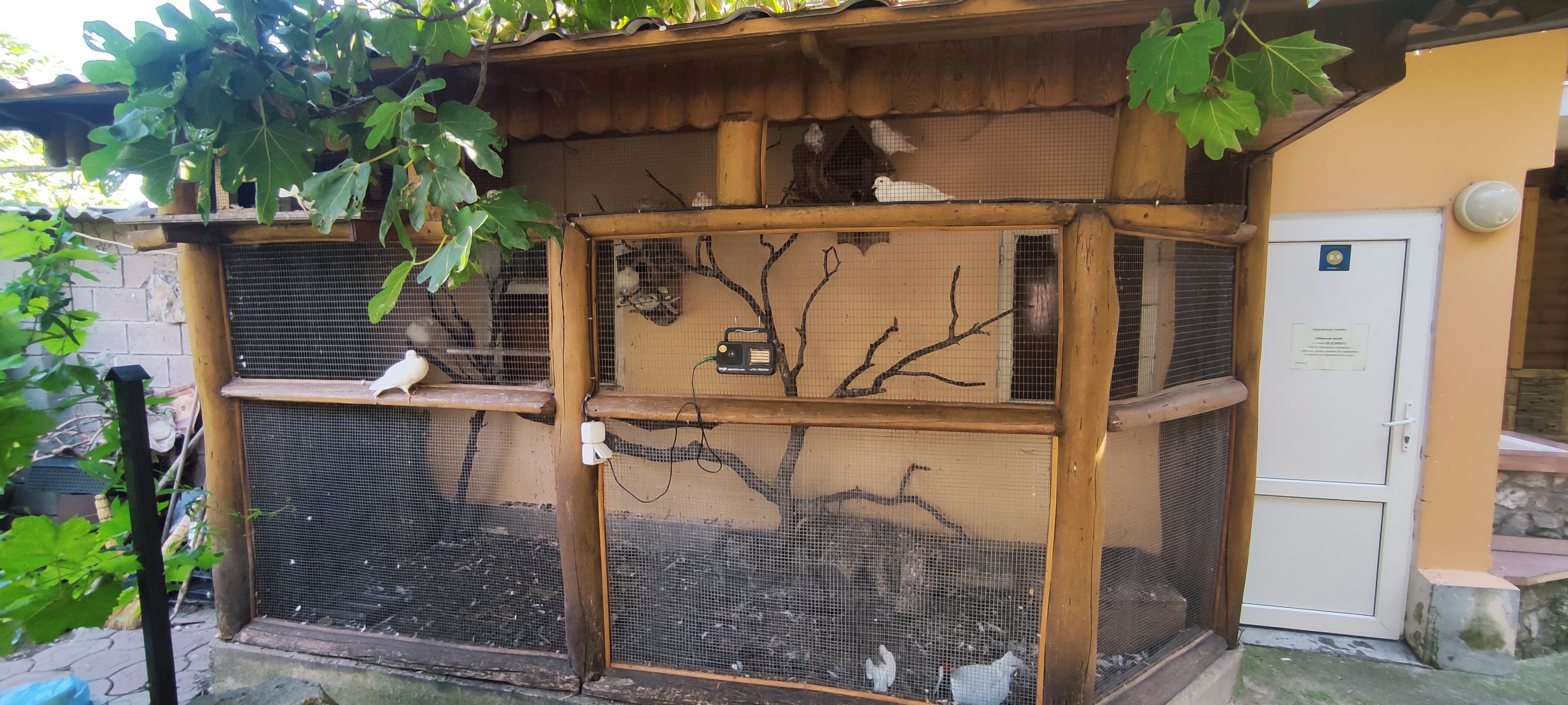 Фото У горы Кошка