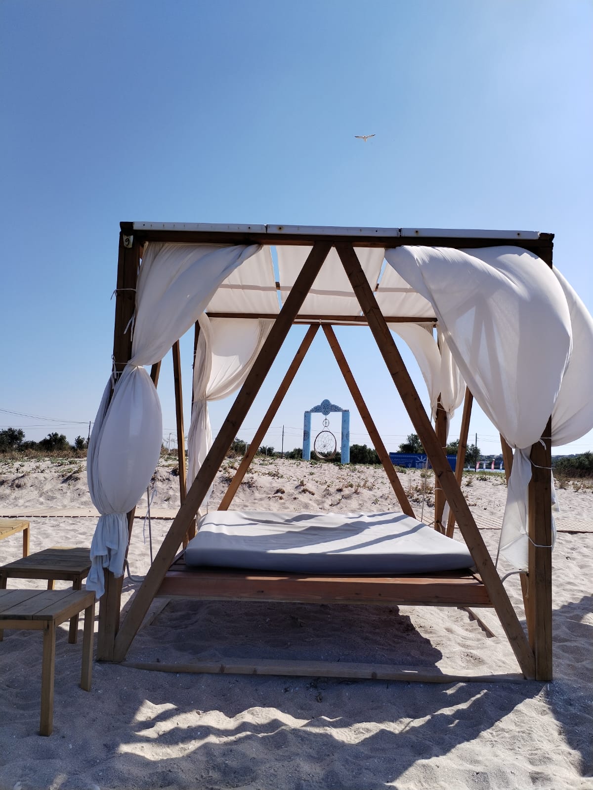 Фото Солнечный