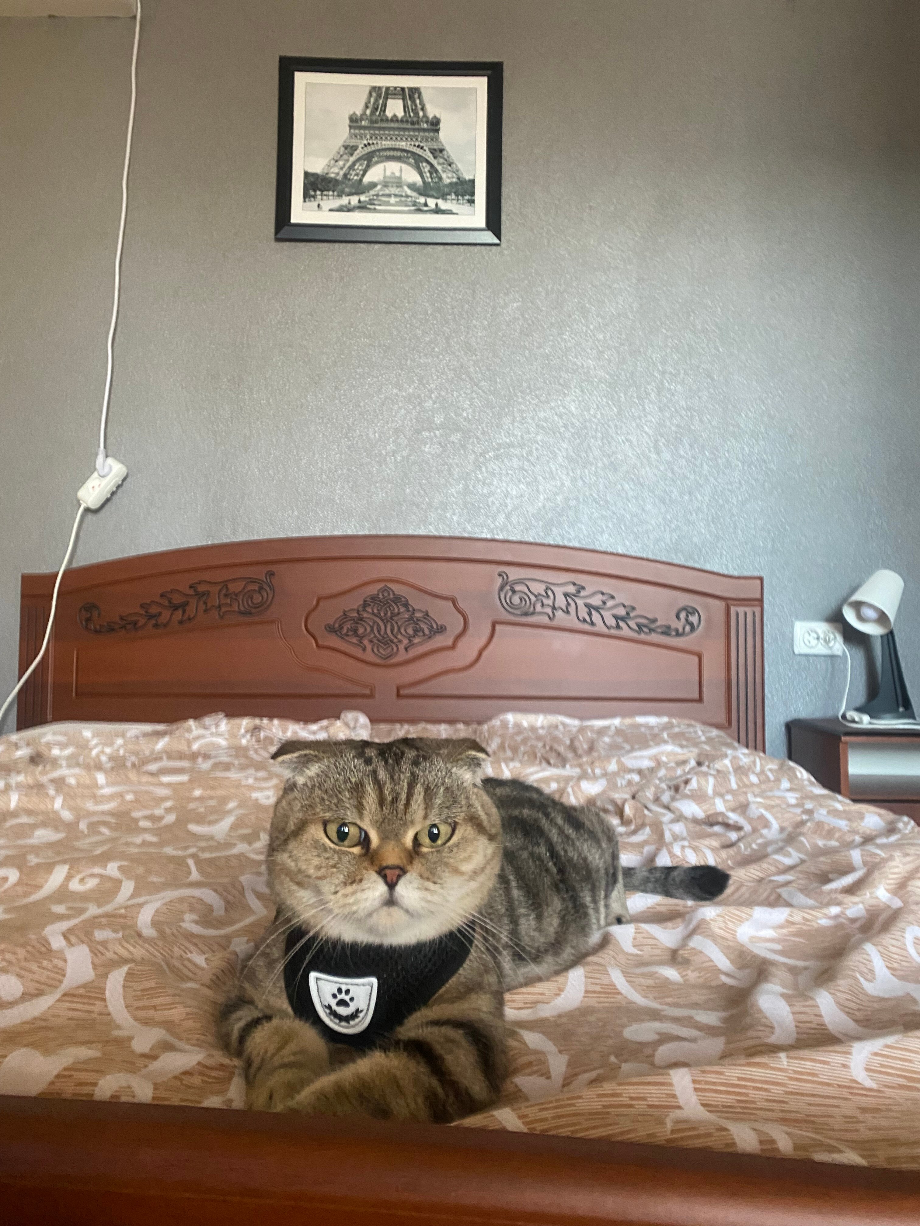 Фото Семейный очаг