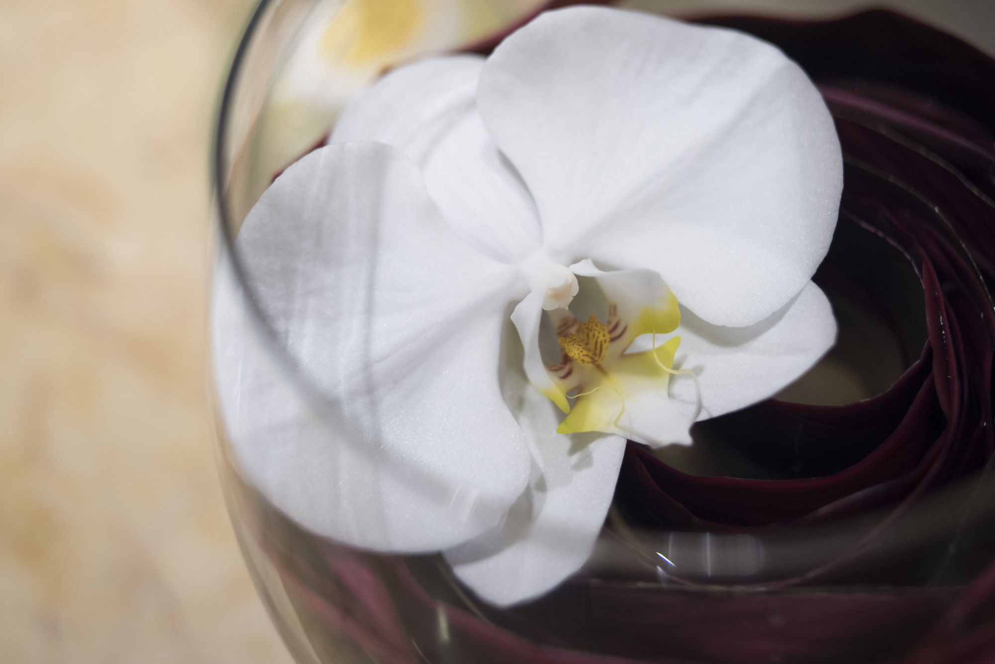 Фото Apricot Hotel