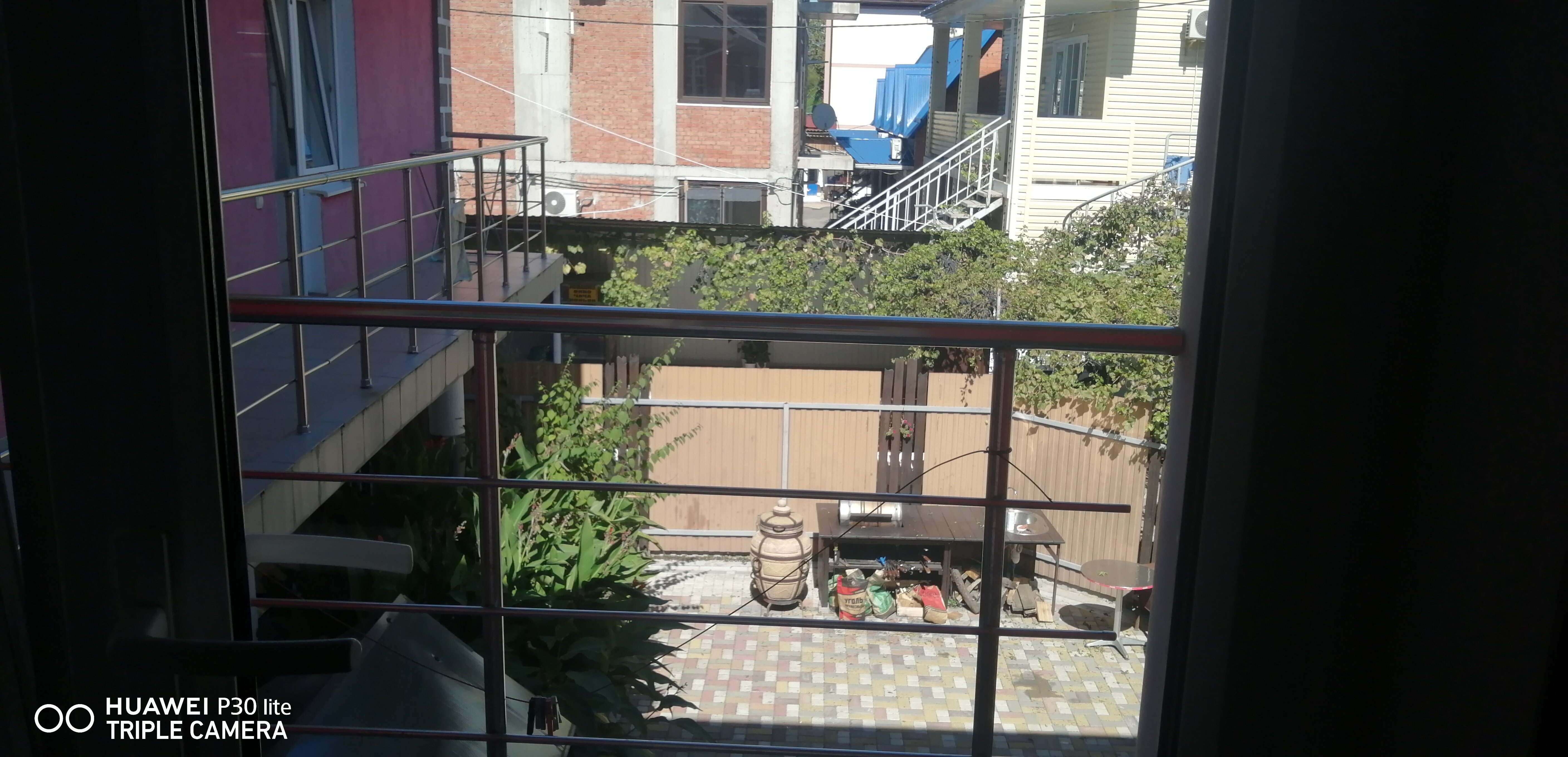 Фото Малина