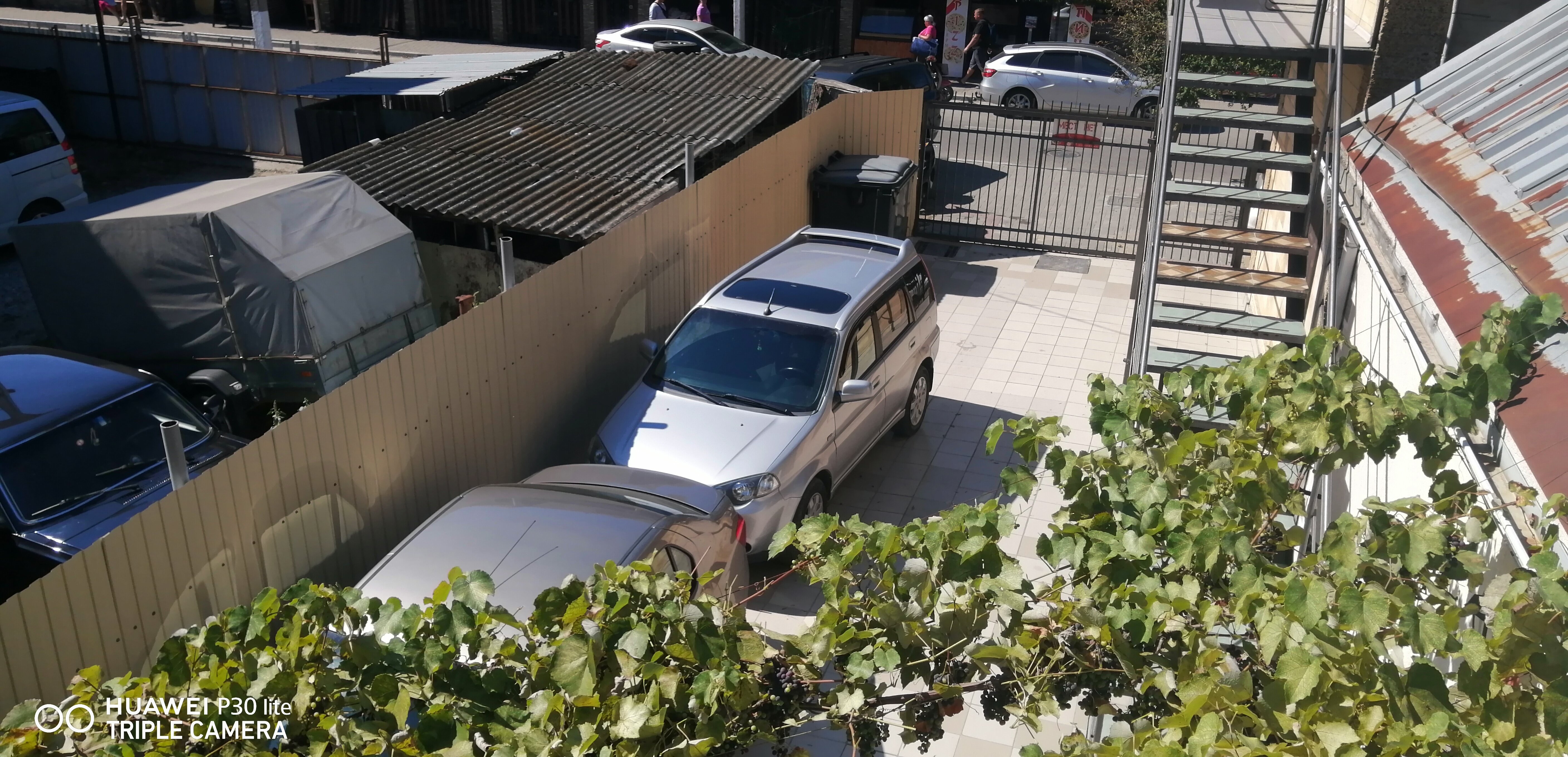 Фото Малина