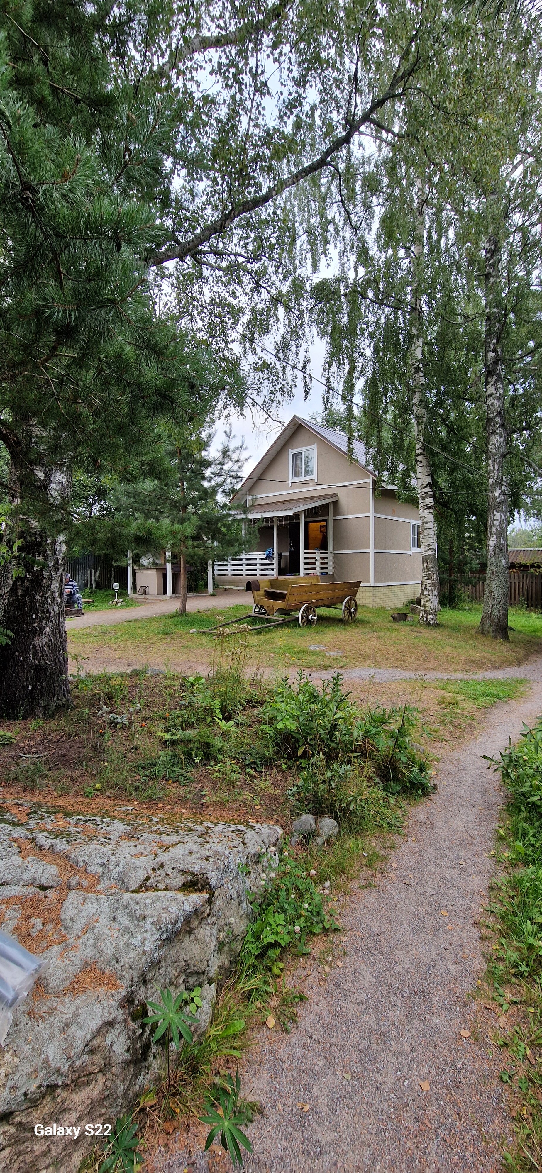 Фото Беличье