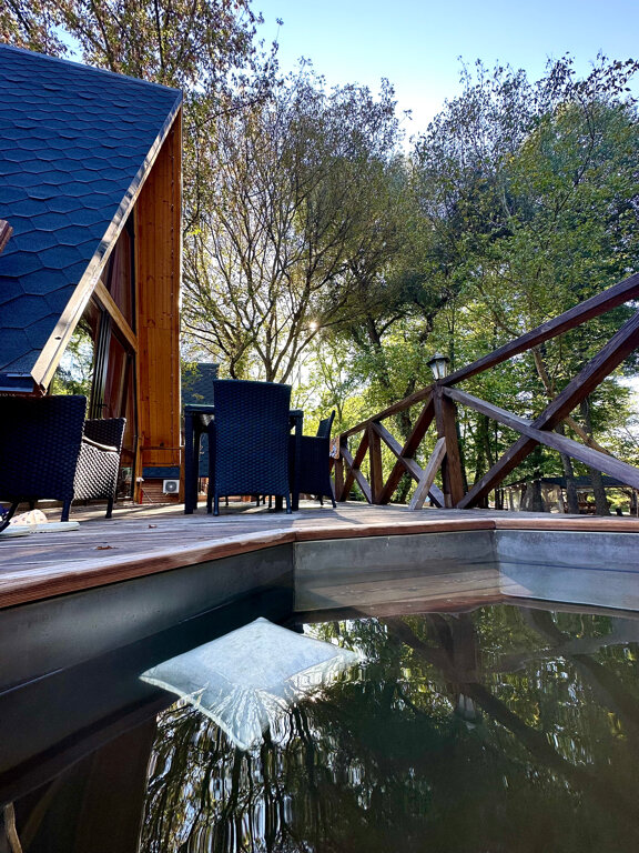 Фото Богатый лес