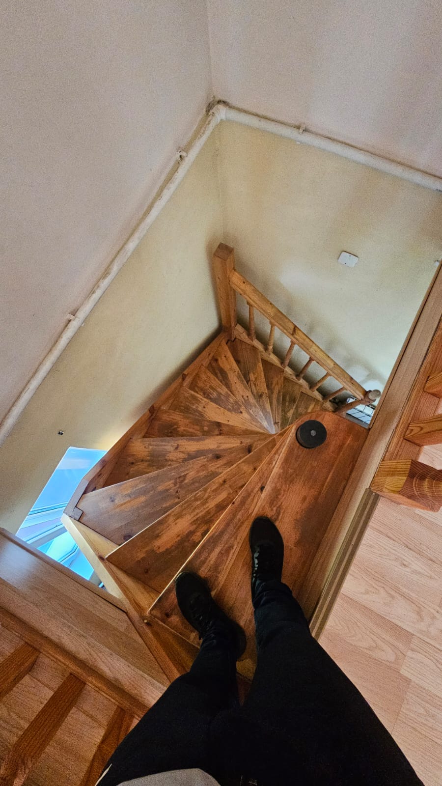 Фото Роза Ветров