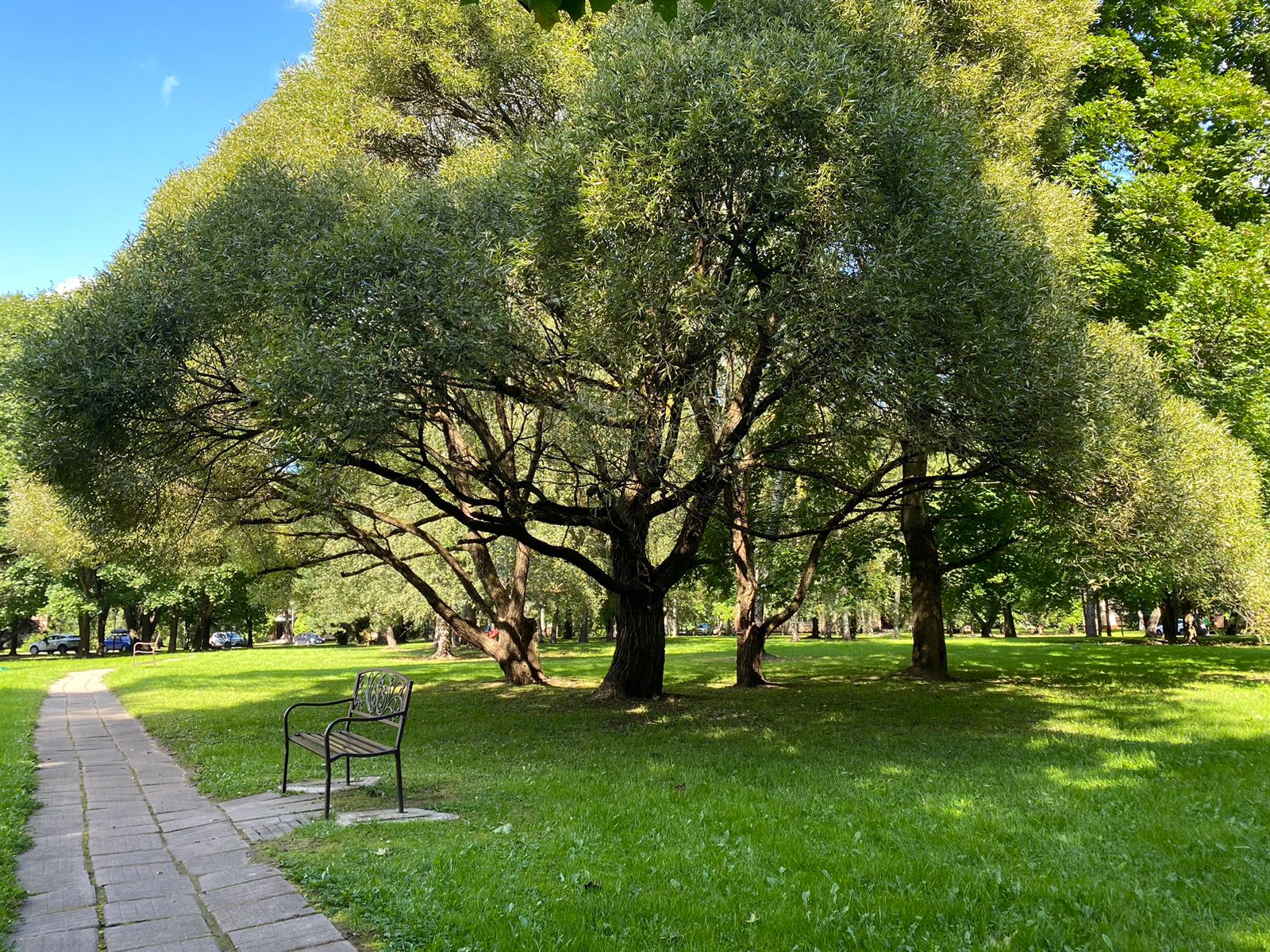 Фото Нагорное