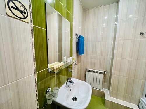 Гостиница Дубрава в Воронеже