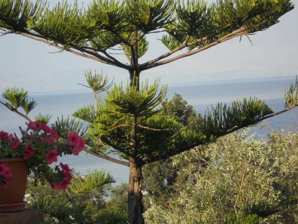 Фото Gina Studios