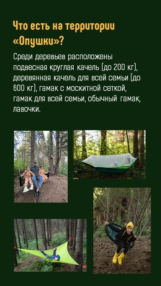 Фото Опушка