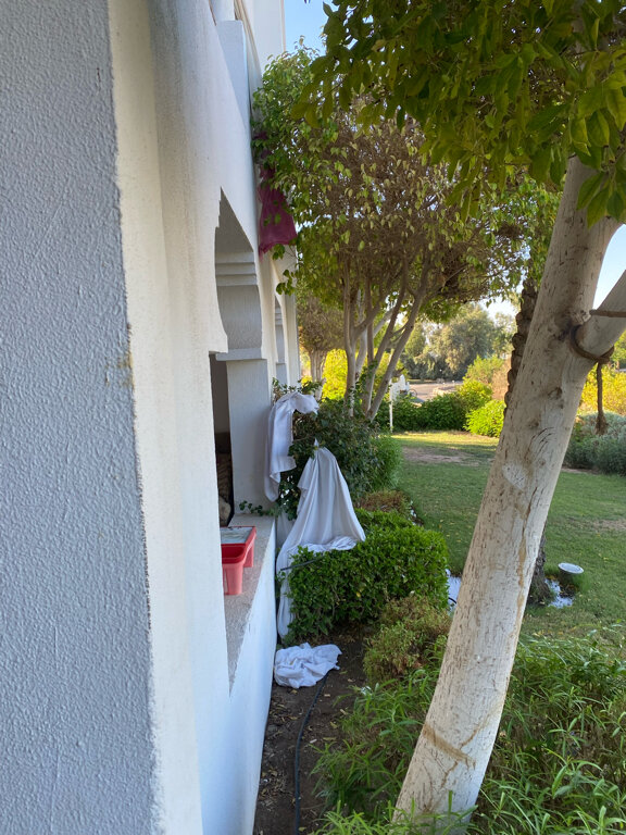 Фото Domina El Sultan Hotel & Resort