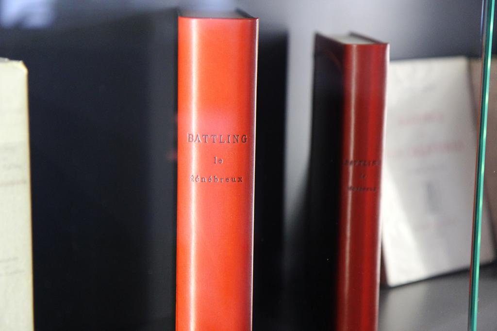 Фото Best Western Plus Hotel Litteraire Alexandre Vialatte