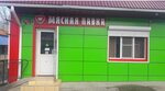 Мясная Лавка (posyolok Kamennomostskiy, ulitsa Lenina, 25) ، متجر جزارة، ديلي