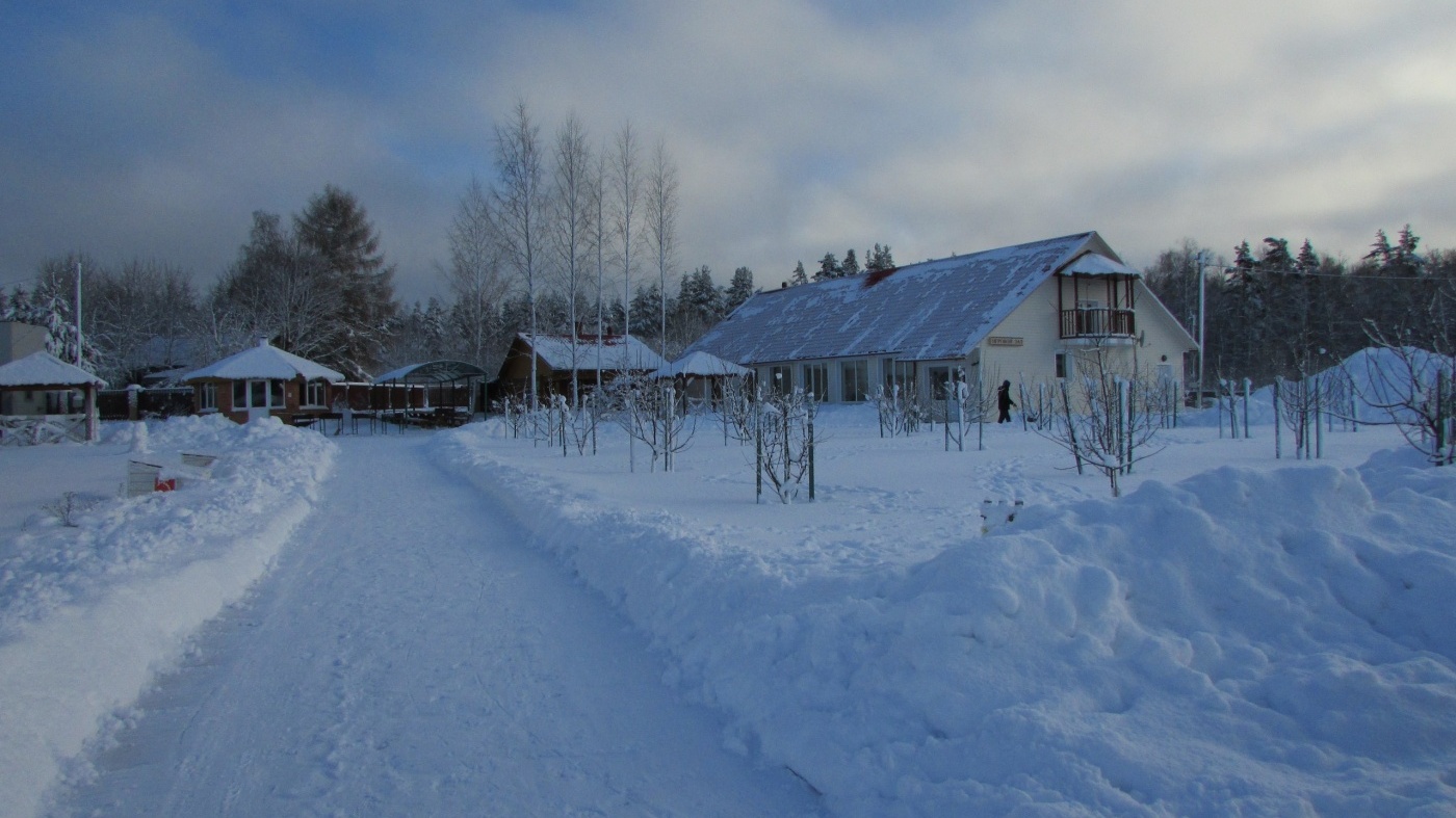 Фото Розовая дача