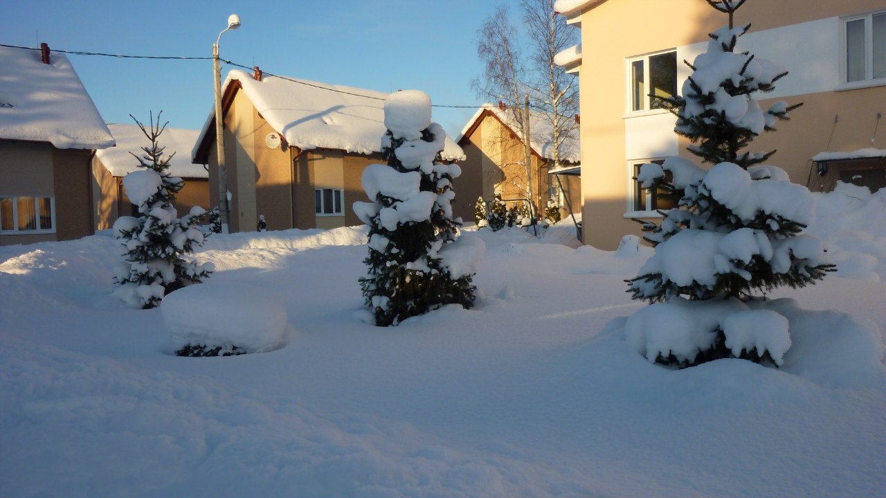 Фото Розовая дача