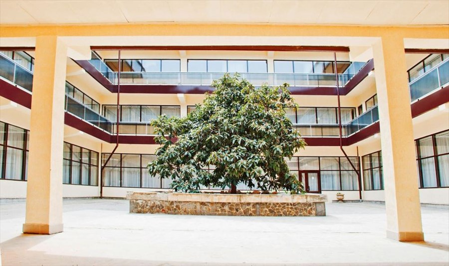 Фото Голден