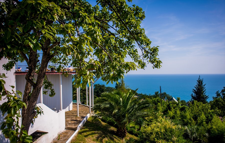 Фото Atmosfera Detox & SPA