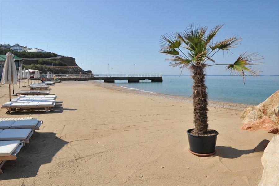 Фото Вязовая роща